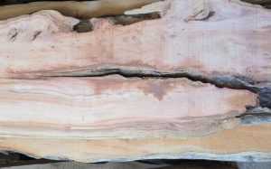Charlesworth Woodyard Yew Timber